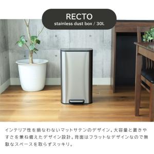 ゴミ箱 ダストボックス 30L 臭わない 脚踏...の詳細画像5
