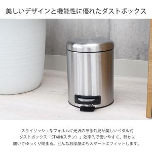 ごみ箱 ペダル式 5リットル 小 ミニ ステン...の詳細画像1