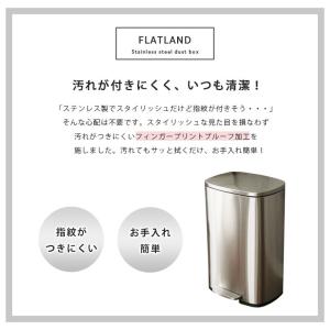 ごみ箱 ゴミ箱 50リットル 50L フタ付き...の詳細画像5