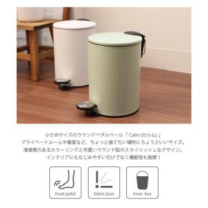 ゴミ箱 ごみ箱 3l 3リットル ペダル ペダ...の詳細画像2