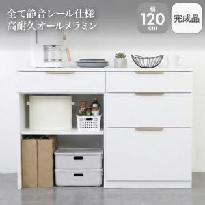キッチンカウンター 幅120 ダスト ゴミ箱 背面化粧 棚 作業台 メラミンキッチンカウンター アラスコダストタイプ