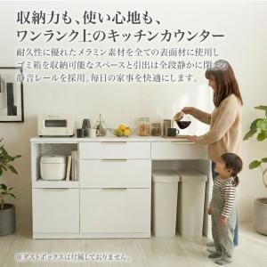 キッチンカウンター 幅120 ダスト ゴミ箱 ...の詳細画像1