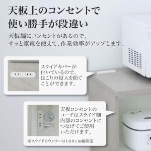 キッチンカウンター 幅120 ダスト ゴミ箱 ...の詳細画像5