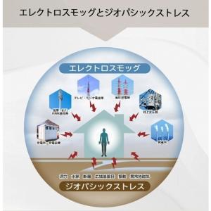 CMC 電磁波防止ペンダント Cタイプ 500...の詳細画像5