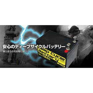 BMO JAPAN ディープサイクル鉛バッテリー12V-13Ah