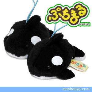 海の動物 シャチ ぬいぐるみ アミューズ Amuse ぷちまる 水族館 オルカ 6cm 最安値 価格比較 Yahoo ショッピング 口コミ 評判からも探せる