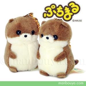 たゃんさま専用ページ ♡ ぬい服 あざらし ちびぐるみ サイズ×2 アザラシのぬいぐるみ A-SHOW 栄商 mini beans ミニビーンズ