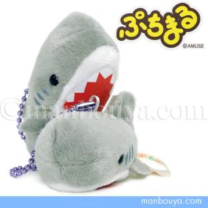 【鮫。】グッズ詰め合わせ 5%OFF サメ グッズ ぬいぐるみ プレゼント 水族館お土産 箱詰め
