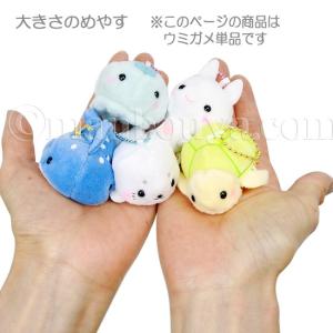 水族館 カメ ぬいぐるみ ウミガメ アミューズ...の詳細画像2
