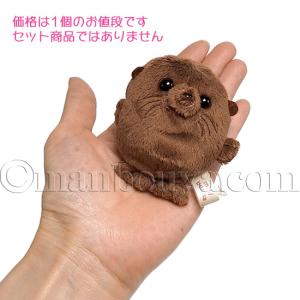 アシカ ぬいぐるみ mini beans ミニ...の詳細画像5