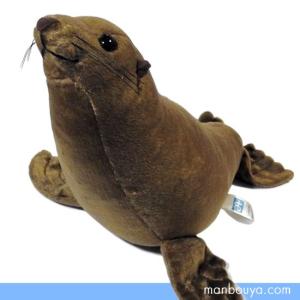 すみだ水族館 オリジナル ミナミアメリカオットセイ ぬいぐるみ S