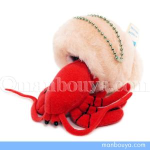 イルカ ぬいぐるみ 海の生き物 A-SHOW ミニビーンズ ドルフィン 2個 イルカ ぬいぐるみ 海の生き物 A-SHOW ミニビーンズ ドルフィン 7cm