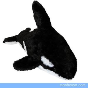 鴨川シーワールド　シャチ　ぬいぐるみセット　3L 鴨川シーワールドオリジナルシャチ3L（大きさ100cm） : 鴨川