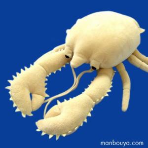 イセエビ 伊勢海老 魚模型 魚フィギュア faf-c8 寸法：約28x20x5cm