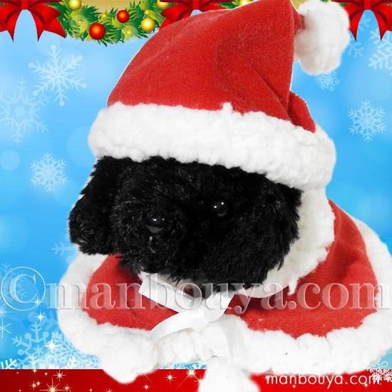 クリスマス ぬいぐるみ 犬 A-SHOW リトルビーンズ プードル ブラック サンタ衣装
