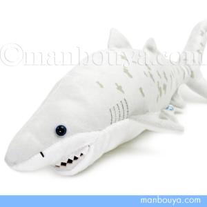 サメ ぬいぐるみ 鮫 水族館 グッズ A-SHOW わくわく図鑑 シロワニ 36cm｜manbouya