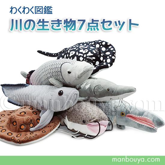 10%OFF 水族館 ぬいぐるみ 淡水魚 川の生き物 A-SHOW 栄商 わくわく図鑑 7点セット