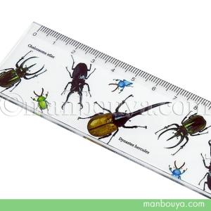 昆虫 グッズ 文房具 定規 15cm 透明 カブトムシ クワガタ クリア じょうぎ メール便発送可｜まんぼう屋ドットコム-Yahoo!店