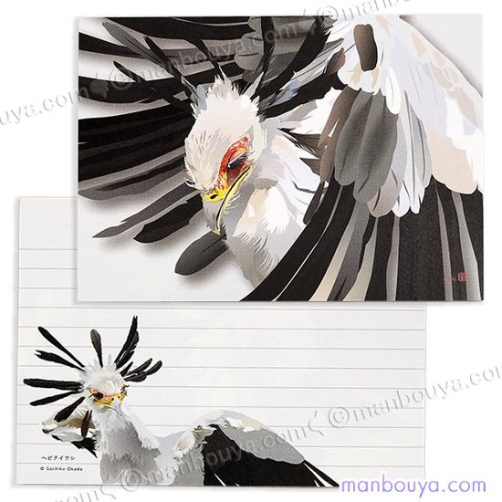 ヘビクイワシ グッズ 鳥 雑貨 文房具 メモ帳 Secretarybird メール便発送可