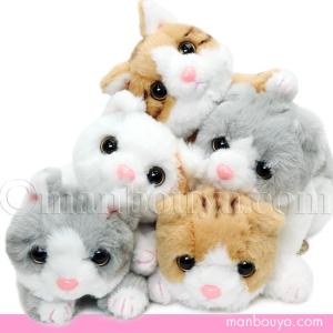 タカラ ベビーミュー トラネコ 猫ぬいぐるみ Baby Mew【未使用品