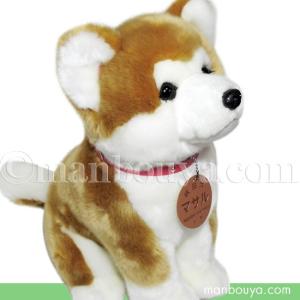 秋田犬 マサル ぬいぐるみ キュート販売 CUTE あきたいぬ 座り L 35cm｜manbouya