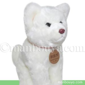 秋田犬 ぬいぐるみ 白毛 保存会 キュート販売 Cute 座り ホワイト ピンク鼻 M 23cm Cu D0022 まんぼう屋ドットコム Yahoo 店 通販 Yahoo ショッピング