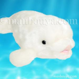白イルカ ぬいぐるみ キュート販売 CUTE marine collection