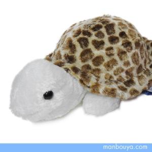 カメ ぬいぐるみ キュート販売 CUTE marine collection 水族館グッズ アストラ亀 ブラウンM 35cm｜manbouya