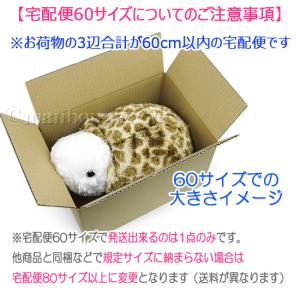 カメ ぬいぐるみ キュート販売 CUTE ma...の詳細画像4