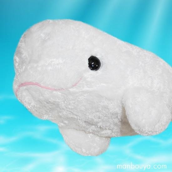 シロイルカのぬいぐるみ 水族館グッズ キュート販売 CUTE マリンコレクション アストラベルーガ ...