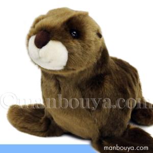 大きい アザラシ ぬいぐるみ 水族館グッズ キュート販売 CUTE ベビー
