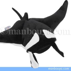 マンタ エイ ぬいぐるみ 水族館グッズ 雑貨 キュート販売 CUTE オニイトマキエイ 35cm　まんぼう屋ドットコム｜manbouya