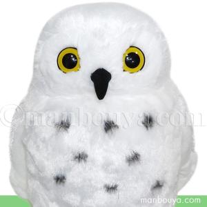 10%OFF フクロウ ぬいぐるみ ふくろう 雑貨 キュート販売 CUTE 10%OFF フクロウ ぬいぐるみ ふくろう 雑貨 キュート販売 CUTE