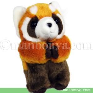 ぬいぐるみ レッサー パンダ キュート販売 CUTE safari collection