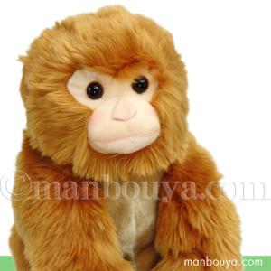 動物園 ぬいぐるみ サル キュート販売 CUTE safari collection