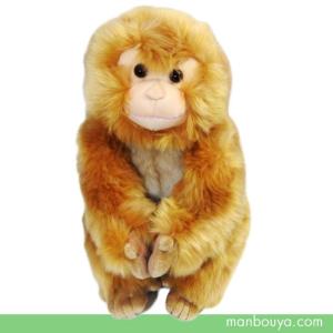 動物園 ぬいぐるみ サル キュート販売 CUTE safari collection 日本猿
