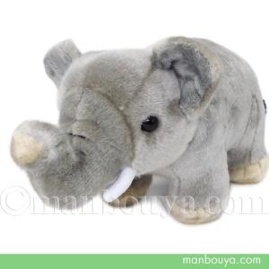 ゾウ ぬいぐるみ ぞう 動物園 お土産 キュート販売 CUTE アジアゾウ 26cm