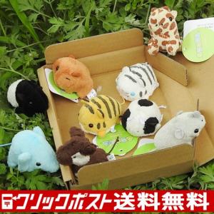 5%OFF 動物園 雑貨 ぬいぐるみ セット A-SHOW ムニュマムお手玉 箱詰めセット ワイルドアニマル 9個 メール便で送料無料｜manbouya