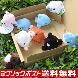 5%OFF 水族館 グッズ ぬいぐるみ セット A-SHOW ムニュマムお手玉 箱詰めセット 海の生き物 海獣編 9個 メール便で送料無料｜manbouya