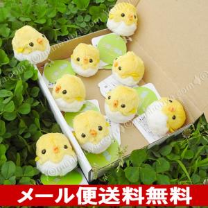 ヴィンテージ A&W アメトイ ひよこ ぬいぐるみ 未開封 激レア エンダー ひよこ ぬいぐるみ グッズ 雑貨 小鳥 A-SHOW ムニュマムお手玉 ヒヨコ