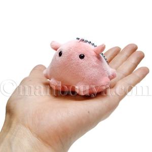 メンダコ ぬいぐるみ 深海生物 海中散歩 ふわ...の詳細画像3