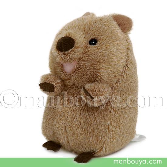クオッカ ぬいぐるみ 動物 内藤デザイン研究所 大陸散歩 ぽちゃまるS クアッカワラビー 11cm
