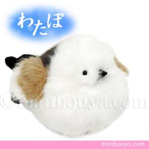 ちょコンとキツネ ST こんぺいとう イエロー きつね ぬいぐるみ