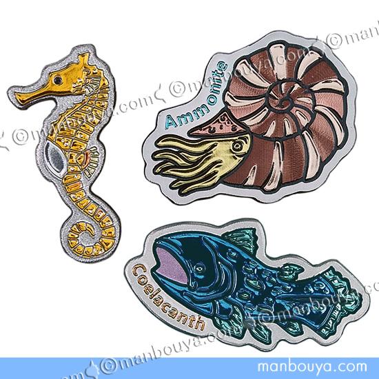 水族館グッズ マグネット 雑貨 深海魚 エッチングダイカットマグネット タツノオトシゴ シーラカンス...