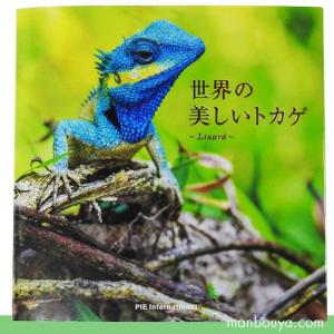 トカゲ 爬虫類 図鑑 写真集 本 パイインターナショナル