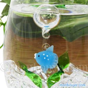 ミニ 金魚鉢 ガラス ディスプレイセット 浮き玉セット ベーシック