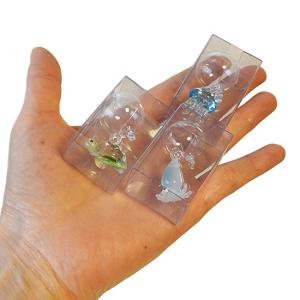 イカ グッズ 浮き玉 ガラス細工 ミニチュア ...の詳細画像2