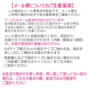 マヌルネコ ぬいぐるみキーホルダー チャーム ...の詳細画像5