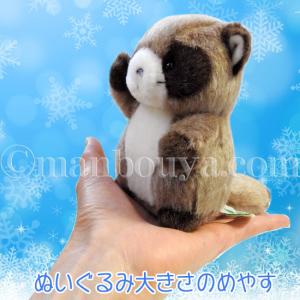 クリスマス ぬいぐるみ たぬき たけのこ TA...の詳細画像3