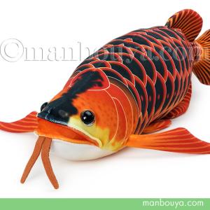 アジアアロワナ ぬいぐるみ 淡水魚 熱帯魚 テイクオフ 紅龍 : HONDA